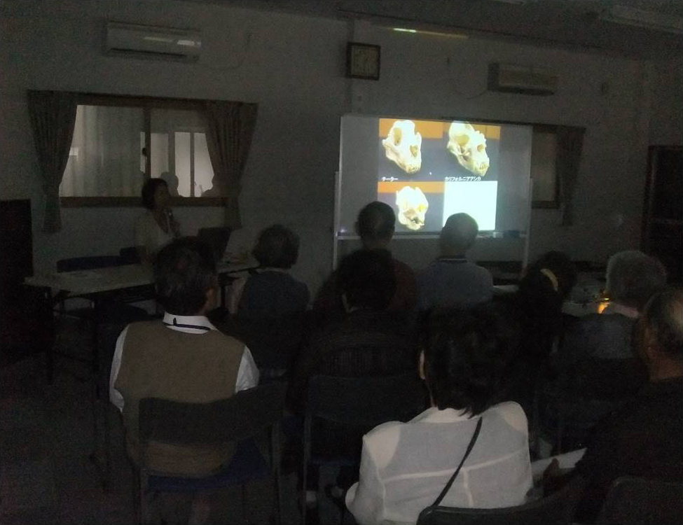 高齢者対象事業について