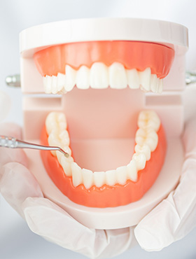 松原市歯科医師会は、歯科医療を通じて地域社会に貢献を目指しています。