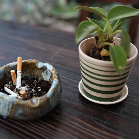 成人病と違うの？